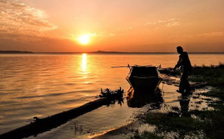 光影瞬間，生活之美 手機攝影作品精選賞析